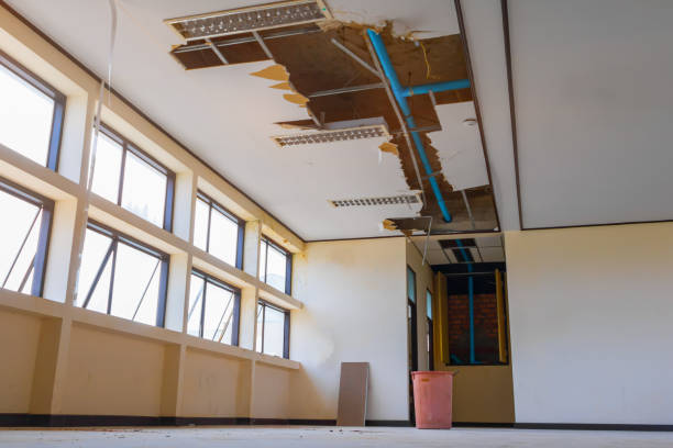 Best Ceiling water damage repair  in Greenfield, TN