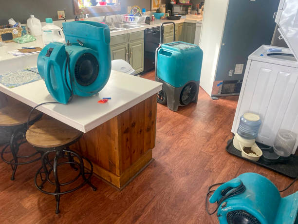 Best Water damage cleanup near me  in Greenfield, TN