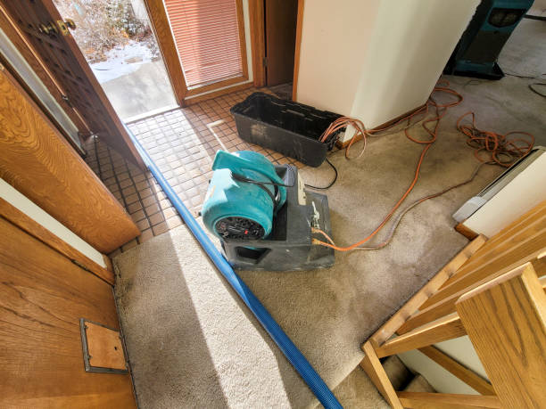 Best 24/7 water damage repair  in Greenfield, TN