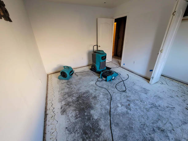 Best Emergency water extraction  in Greenfield, TN