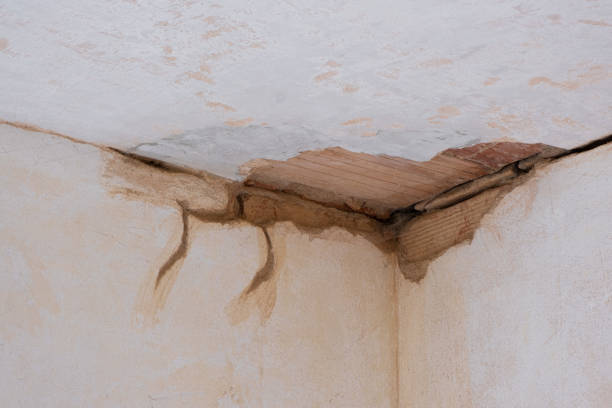 Professional Water damage restoration in TN