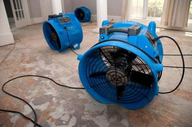 Water damage restoration insurance claims in TN
