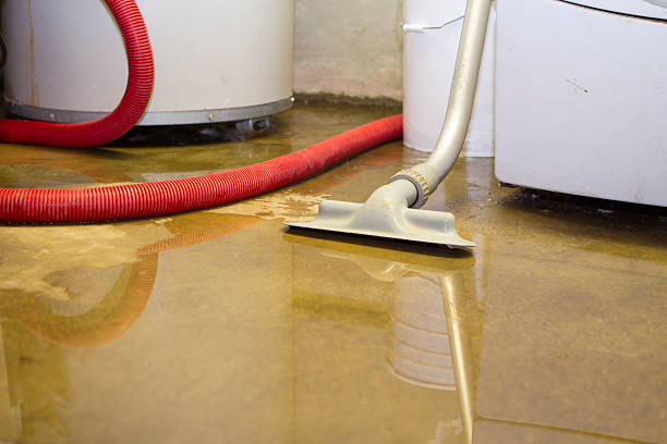 Best Carpet water damage restoration  in Greenfield, TN