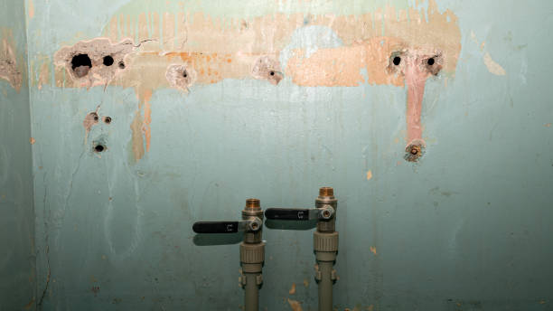 Best Local water damage restoration  in Greenfield, TN