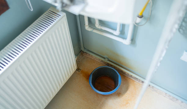 Best Mold removal after water damage  in Greenfield, TN