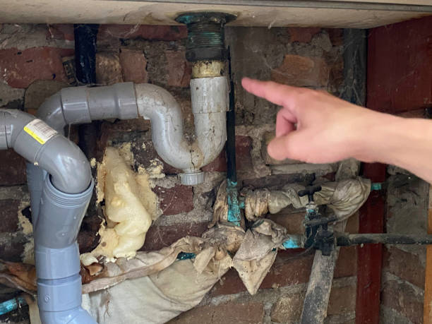 Best Flooded house restoration  in Greenfield, TN