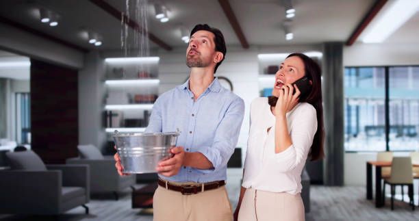 Best Professional water damage repair  in Greenfield, TN