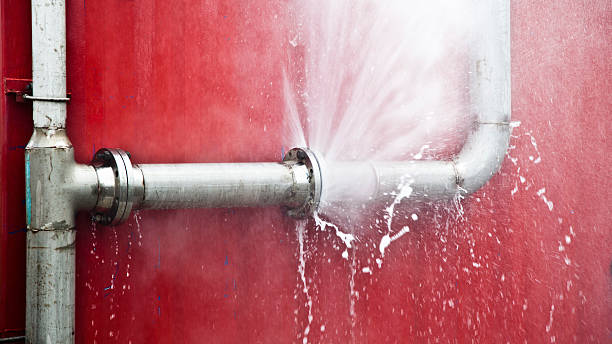 Best Professional water damage repair  in Greenfield, TN