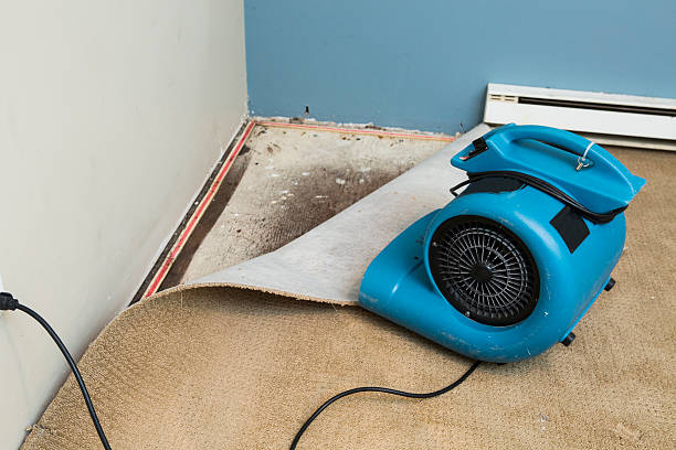 Best Water damage restoration experts  in Greenfield, TN